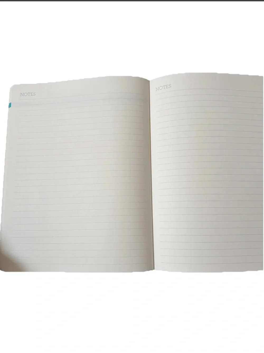 Clementine Paper inc. 17-month Large Size Planner 11x9” Green Stripes 2026-2027